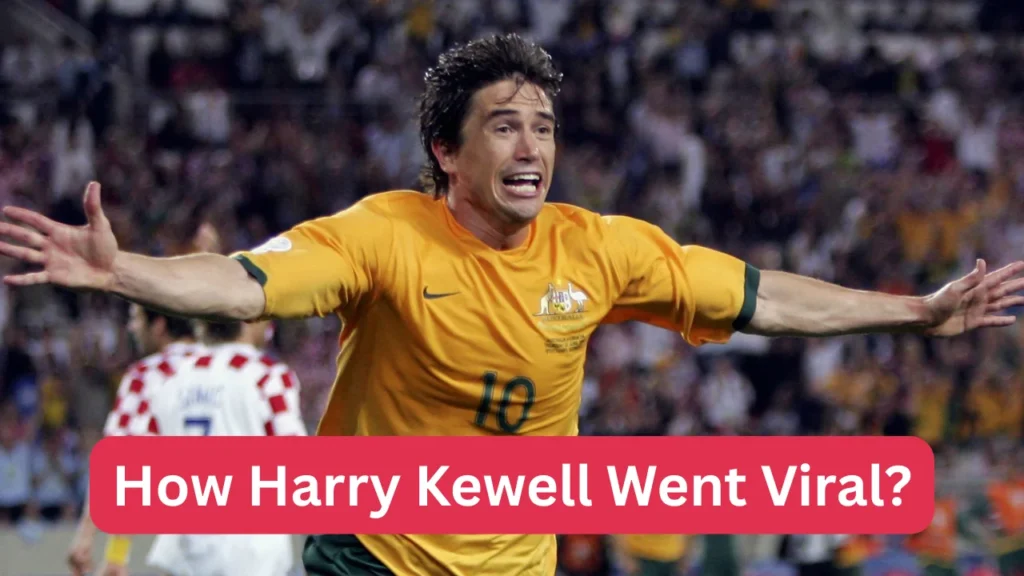 How Harry Kewell Went Viral?